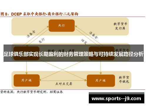 足球俱乐部实现长期盈利的财务管理策略与可持续发展路径分析