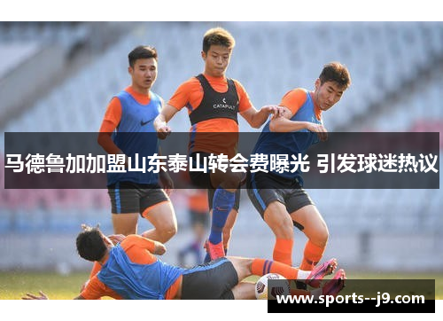 马德鲁加加盟山东泰山转会费曝光 引发球迷热议
