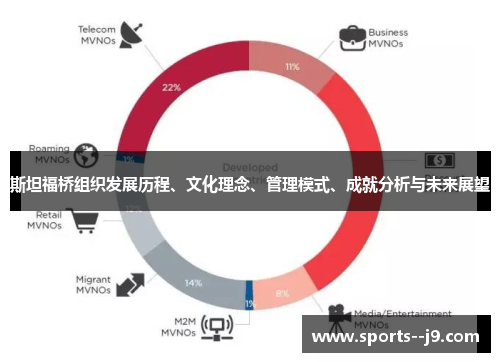 斯坦福桥组织发展历程、文化理念、管理模式、成就分析与未来展望