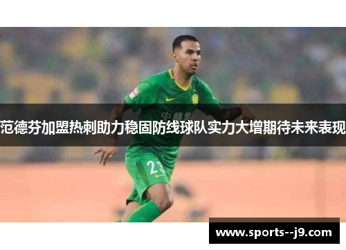 范德芬加盟热刺助力稳固防线球队实力大增期待未来表现 范德芬加盟热刺助力稳固防线球队实力大增期待未来表现