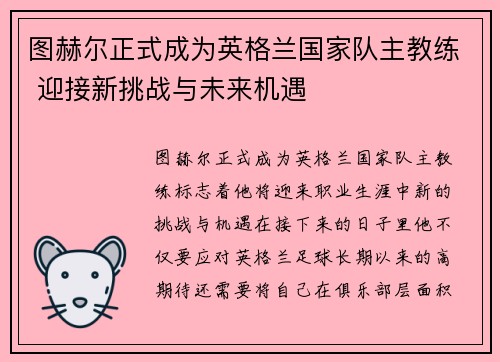 图赫尔正式成为英格兰国家队主教练 迎接新挑战与未来机遇